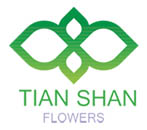 Tian Shan Flower